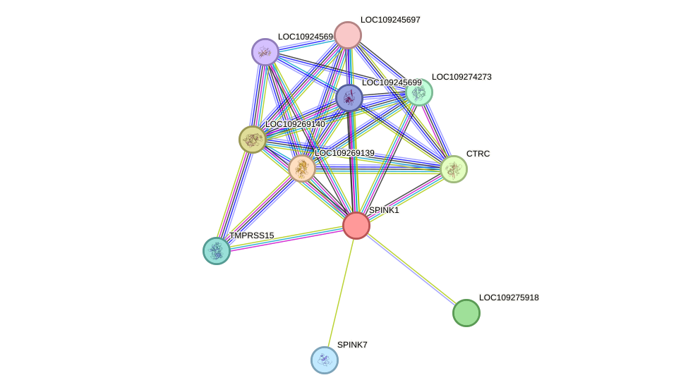 STRING protein interaction network