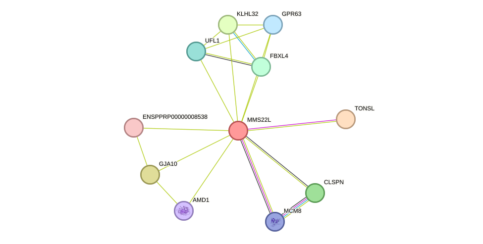 STRING protein interaction network