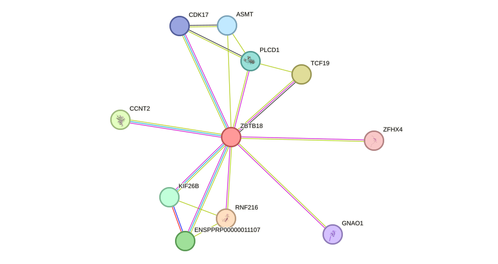 STRING protein interaction network