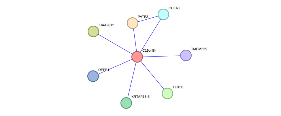 STRING protein interaction network