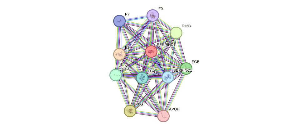 STRING protein interaction network