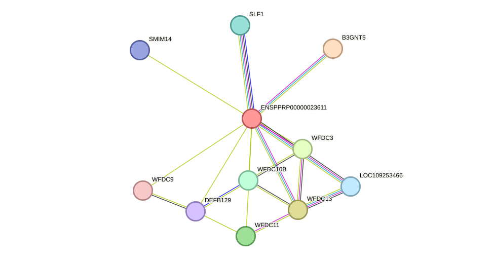 STRING protein interaction network