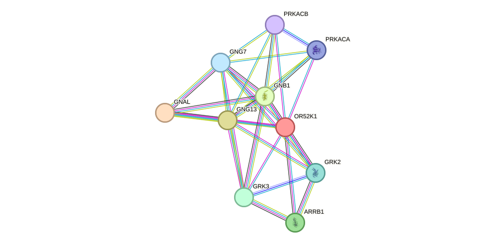 STRING protein interaction network