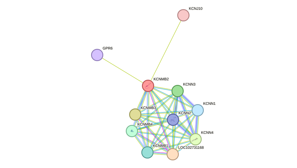 STRING protein interaction network