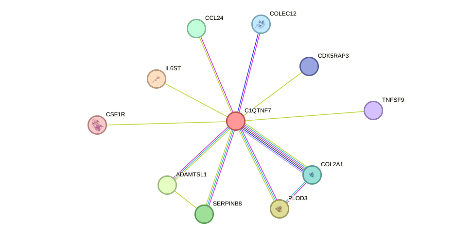 STRING protein interaction network