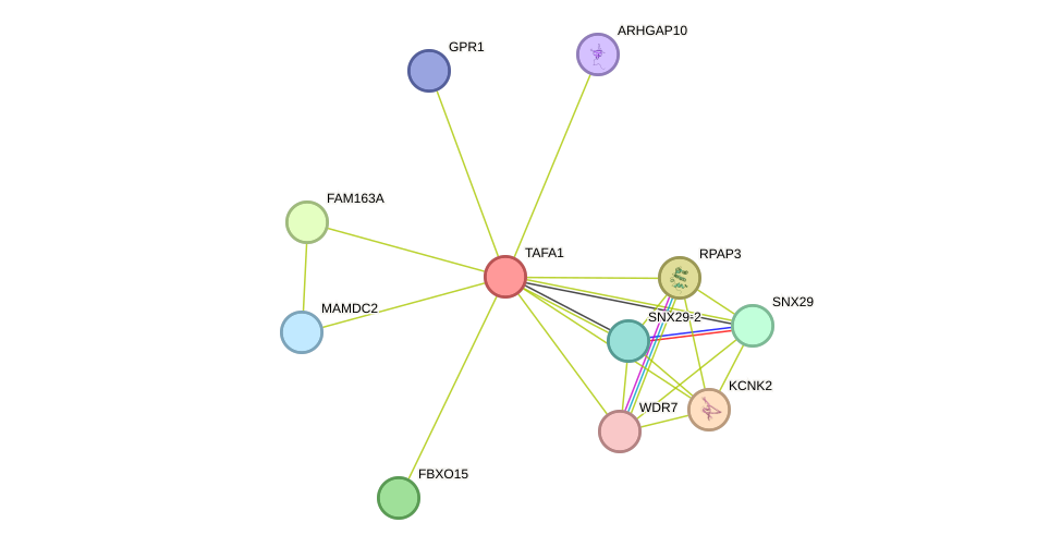 STRING protein interaction network