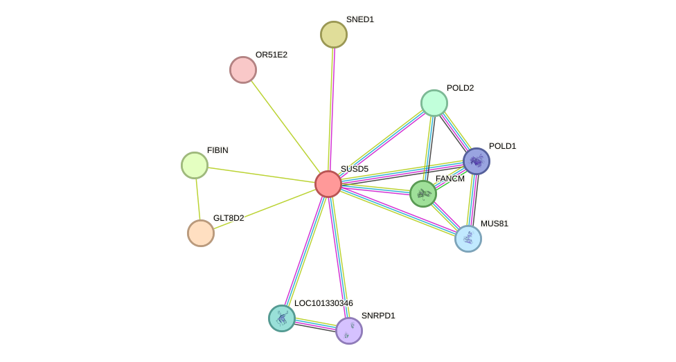 STRING protein interaction network