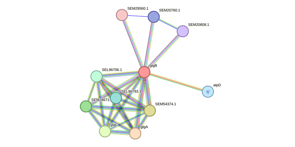 STRING protein interaction network
