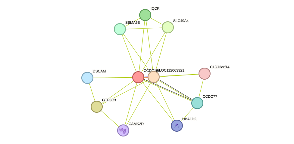 STRING protein interaction network