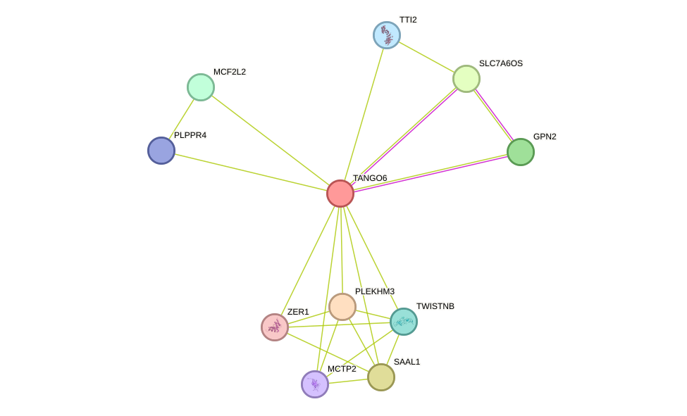 STRING protein interaction network