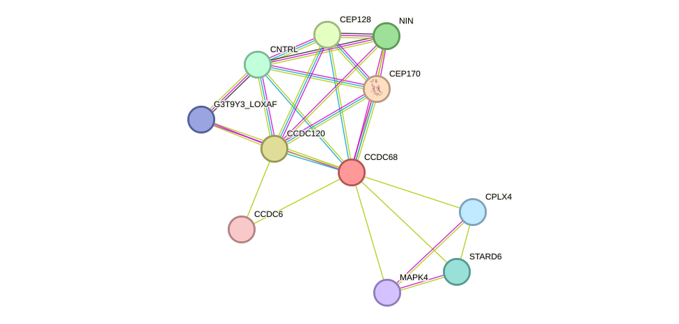 STRING protein interaction network