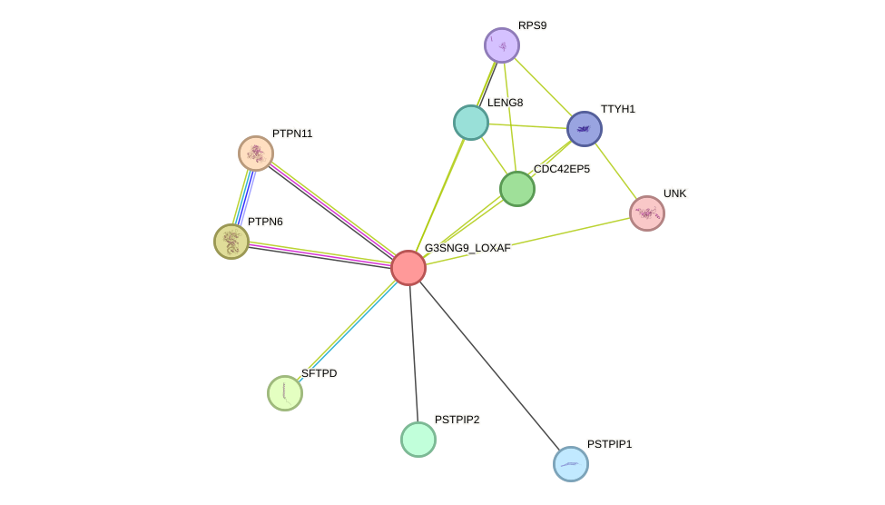 STRING protein interaction network