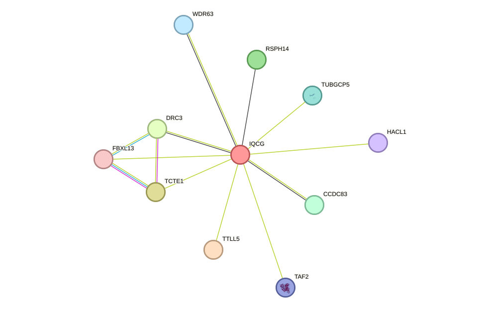 STRING protein interaction network