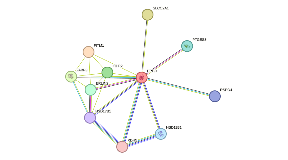 STRING protein interaction network