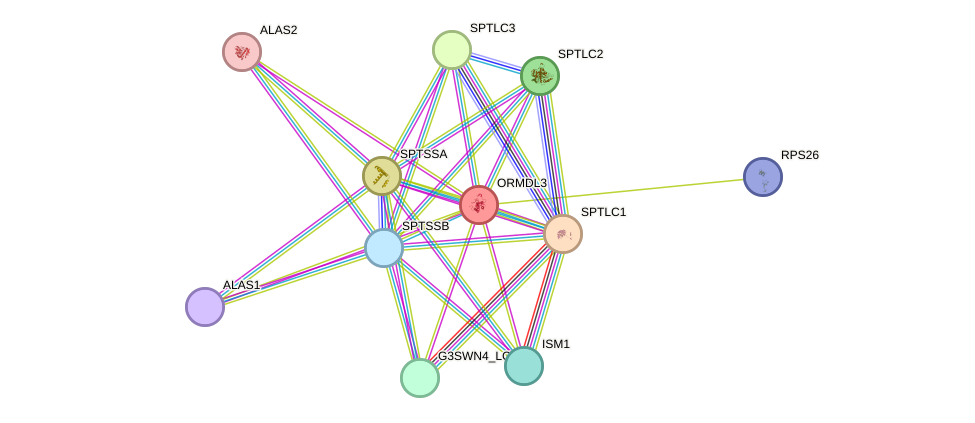 STRING protein interaction network