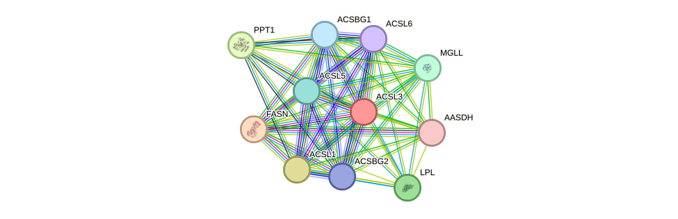 STRING protein interaction network