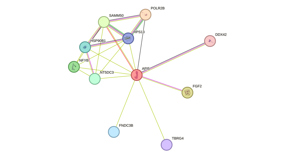 STRING protein interaction network