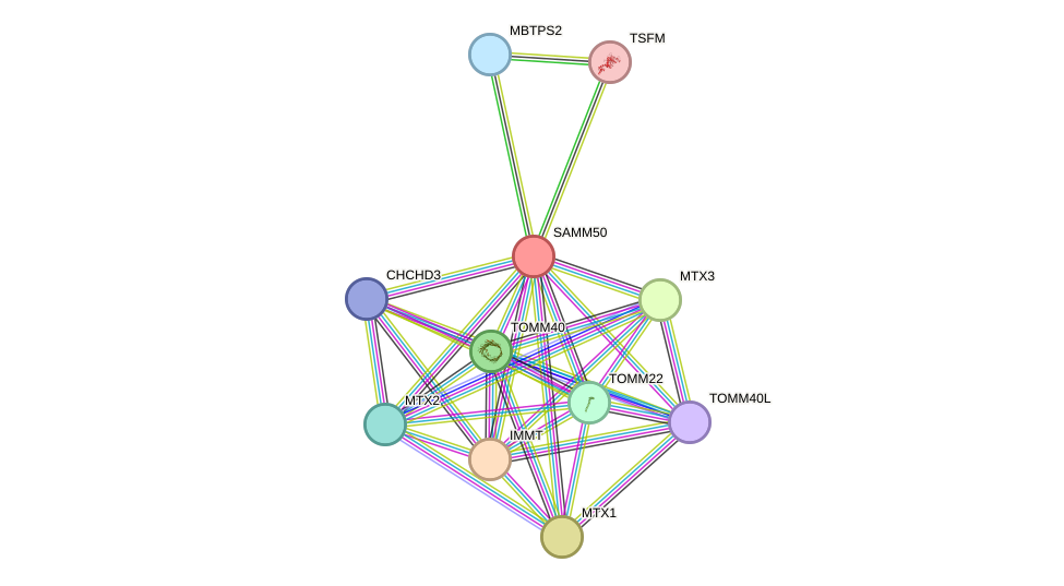 STRING protein interaction network