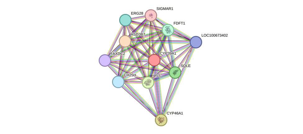STRING protein interaction network