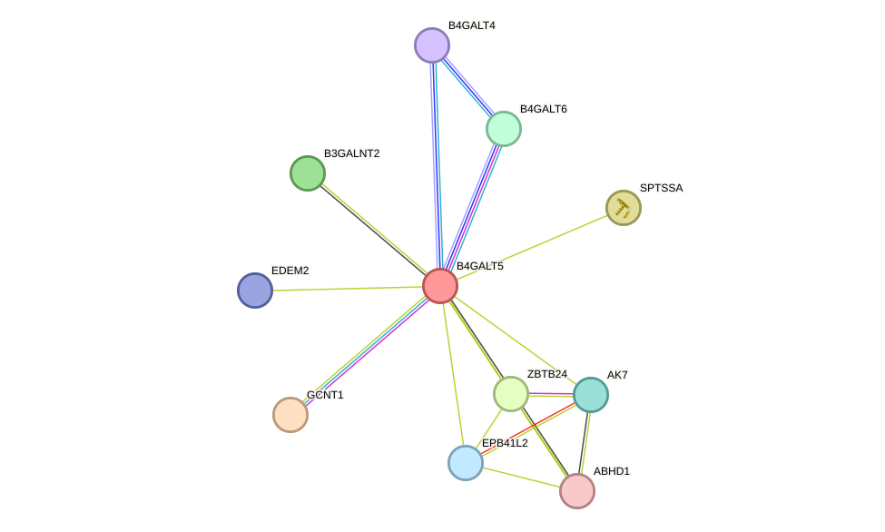 STRING protein interaction network