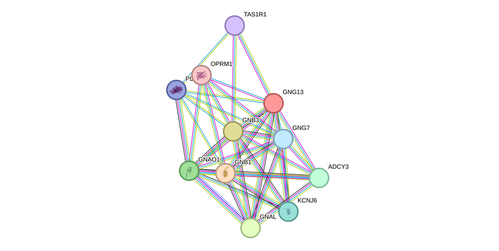 STRING protein interaction network