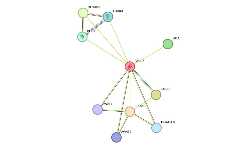 STRING protein interaction network