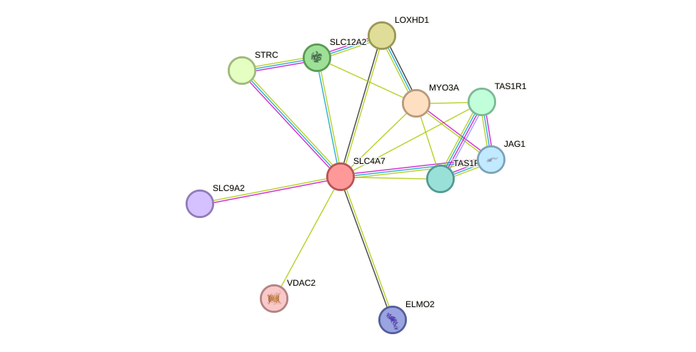STRING protein interaction network