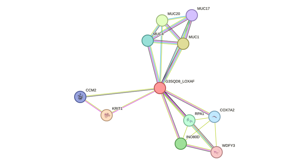 STRING protein interaction network