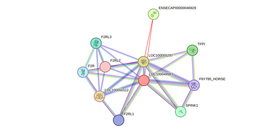 STRING protein interaction network