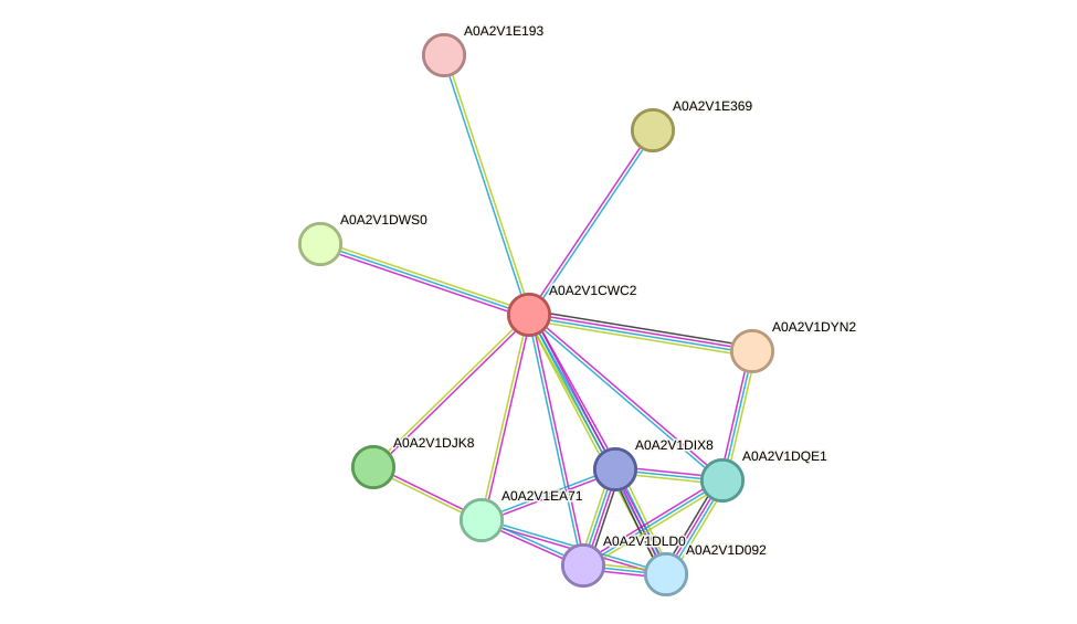 STRING protein interaction network