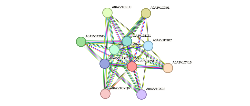 STRING protein interaction network