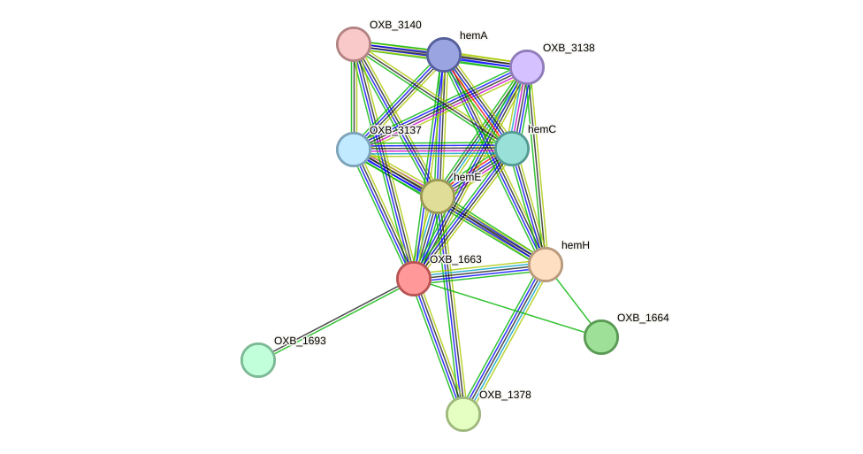STRING protein interaction network