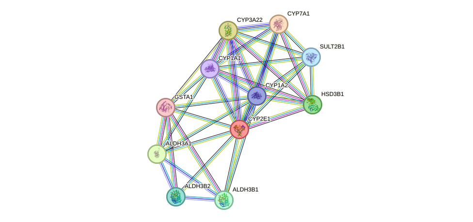 STRING protein interaction network