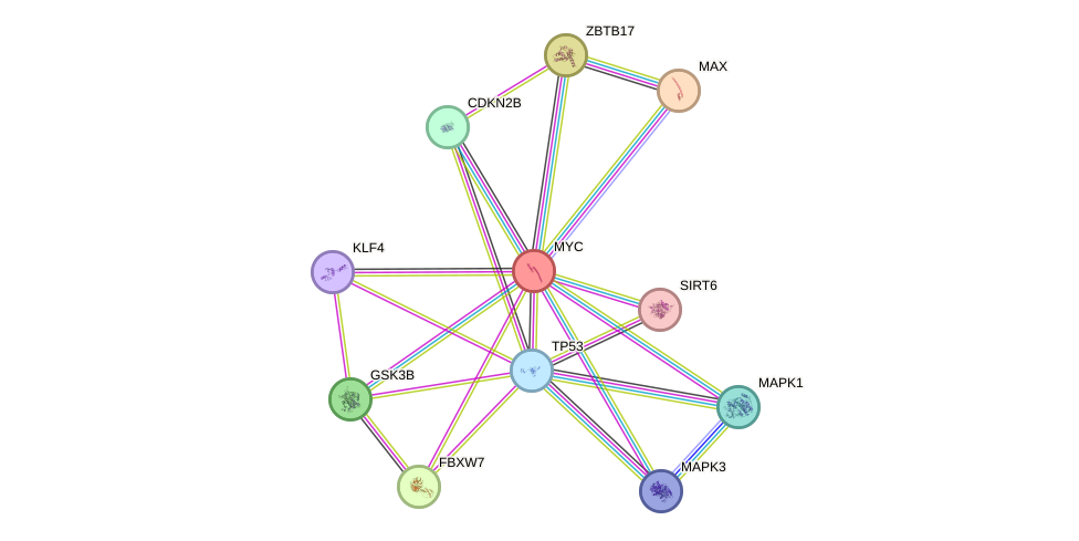 STRING protein interaction network