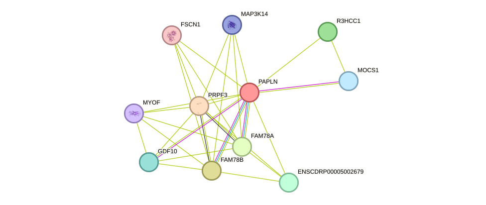 STRING protein interaction network