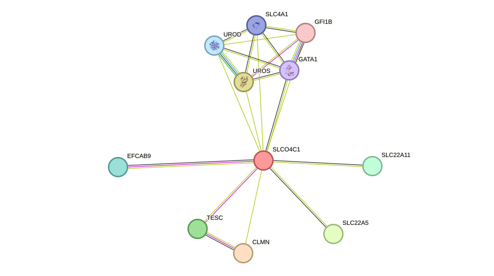 STRING protein interaction network