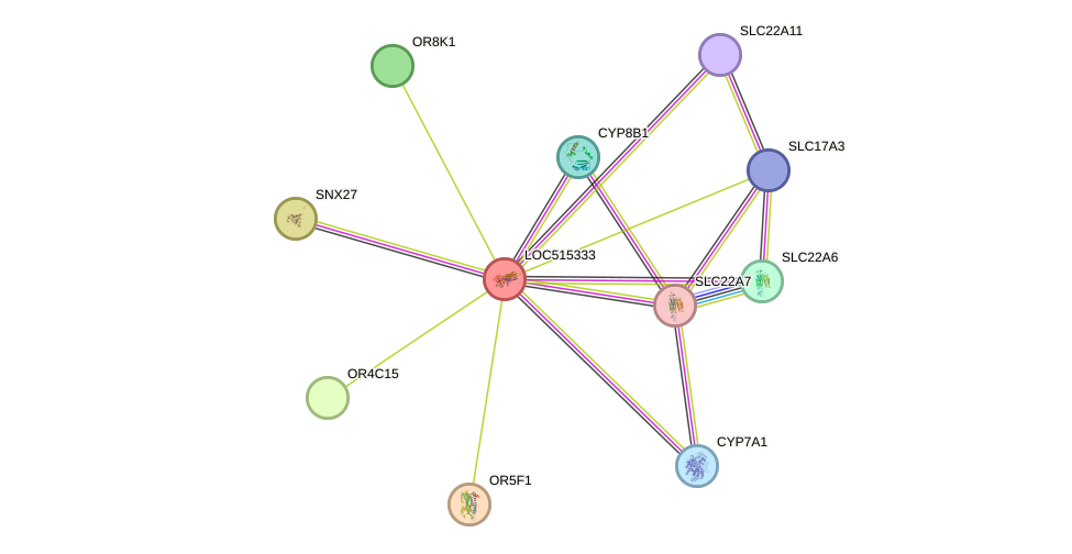 STRING protein interaction network