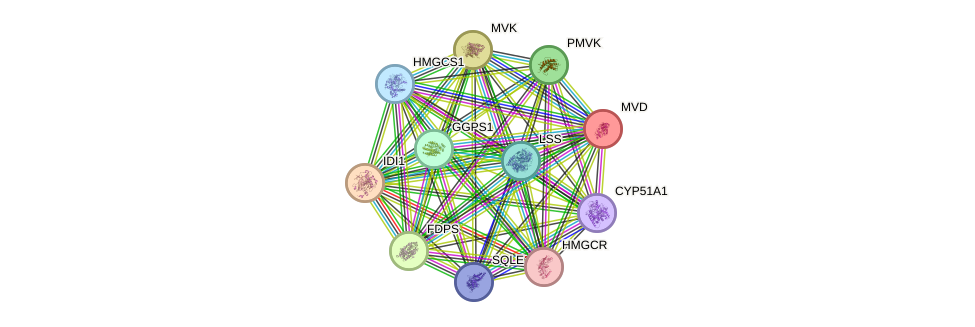 STRING protein interaction network