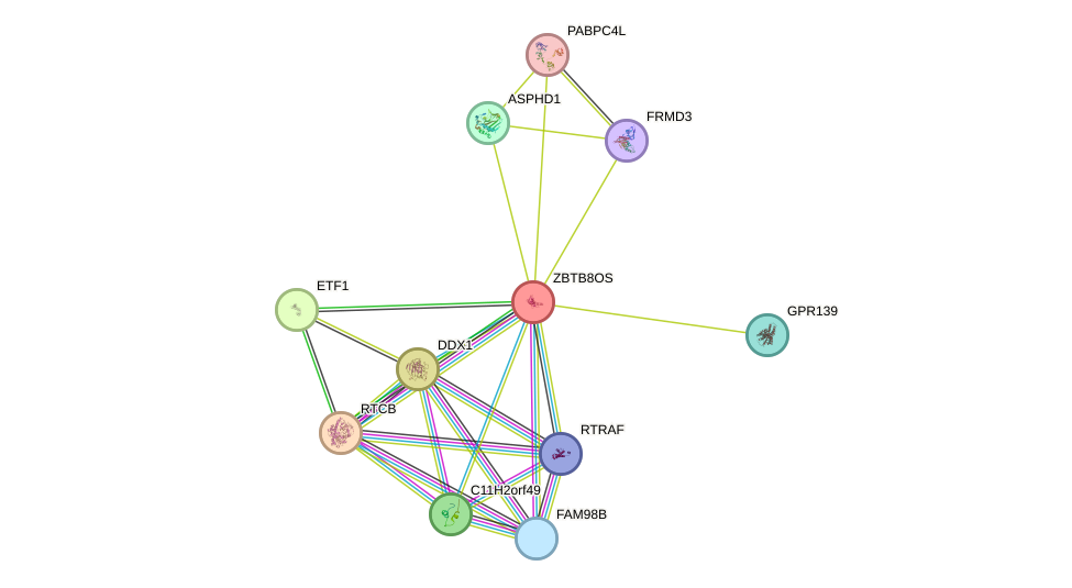 STRING protein interaction network