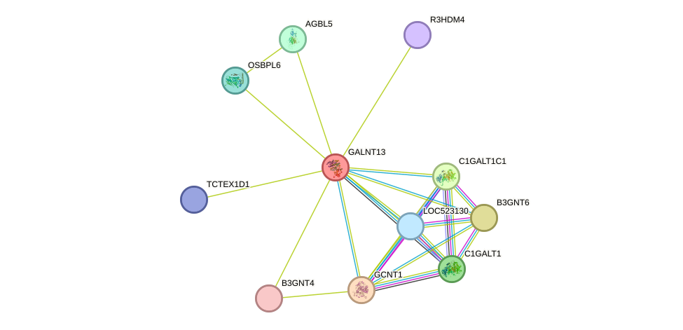 STRING protein interaction network