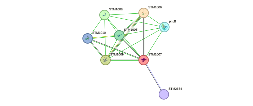 STRING protein interaction network