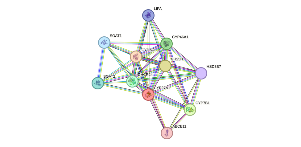 STRING protein interaction network