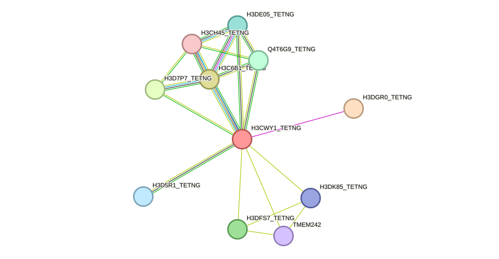 STRING protein interaction network