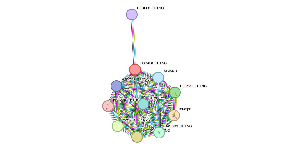 STRING protein interaction network