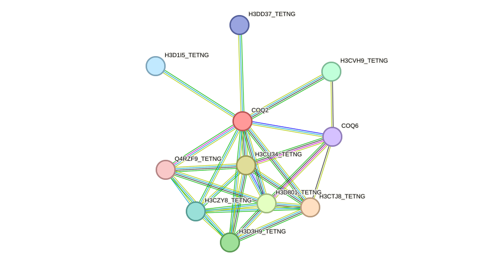 STRING protein interaction network