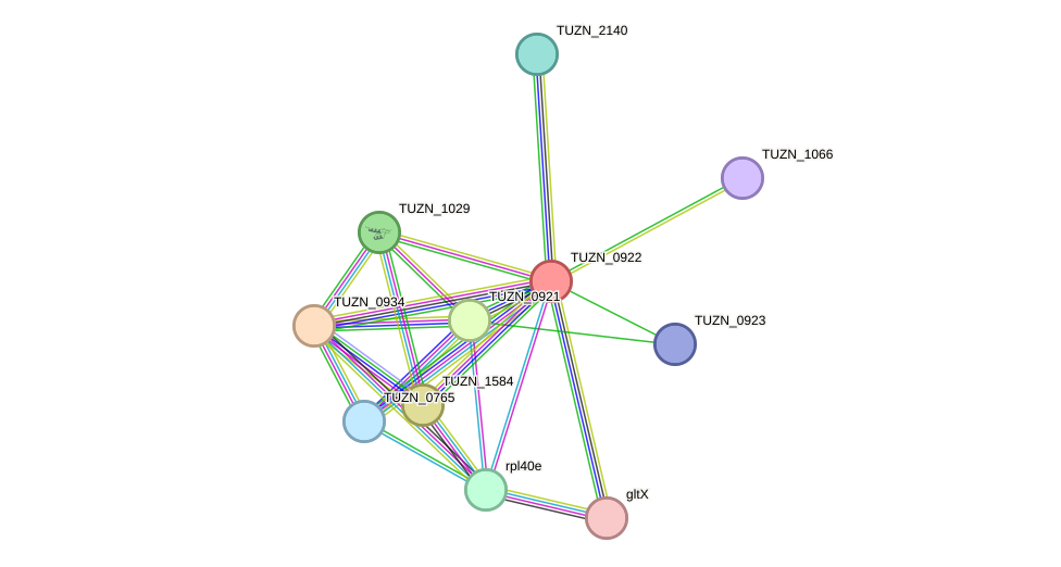 STRING protein interaction network